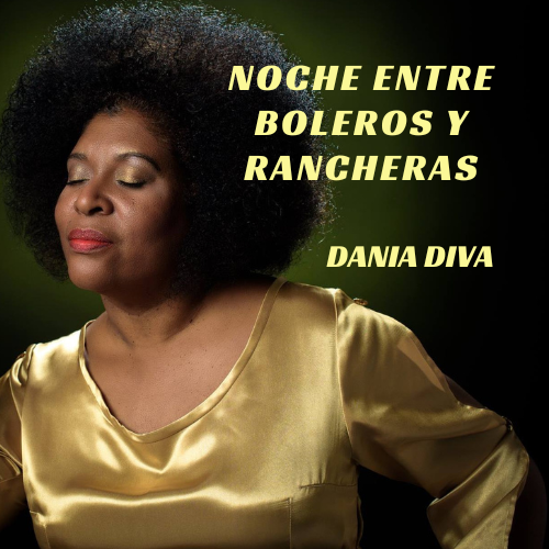 NOCHE DE BOLEROS Y RANCHERAS (DANIA DIVA)